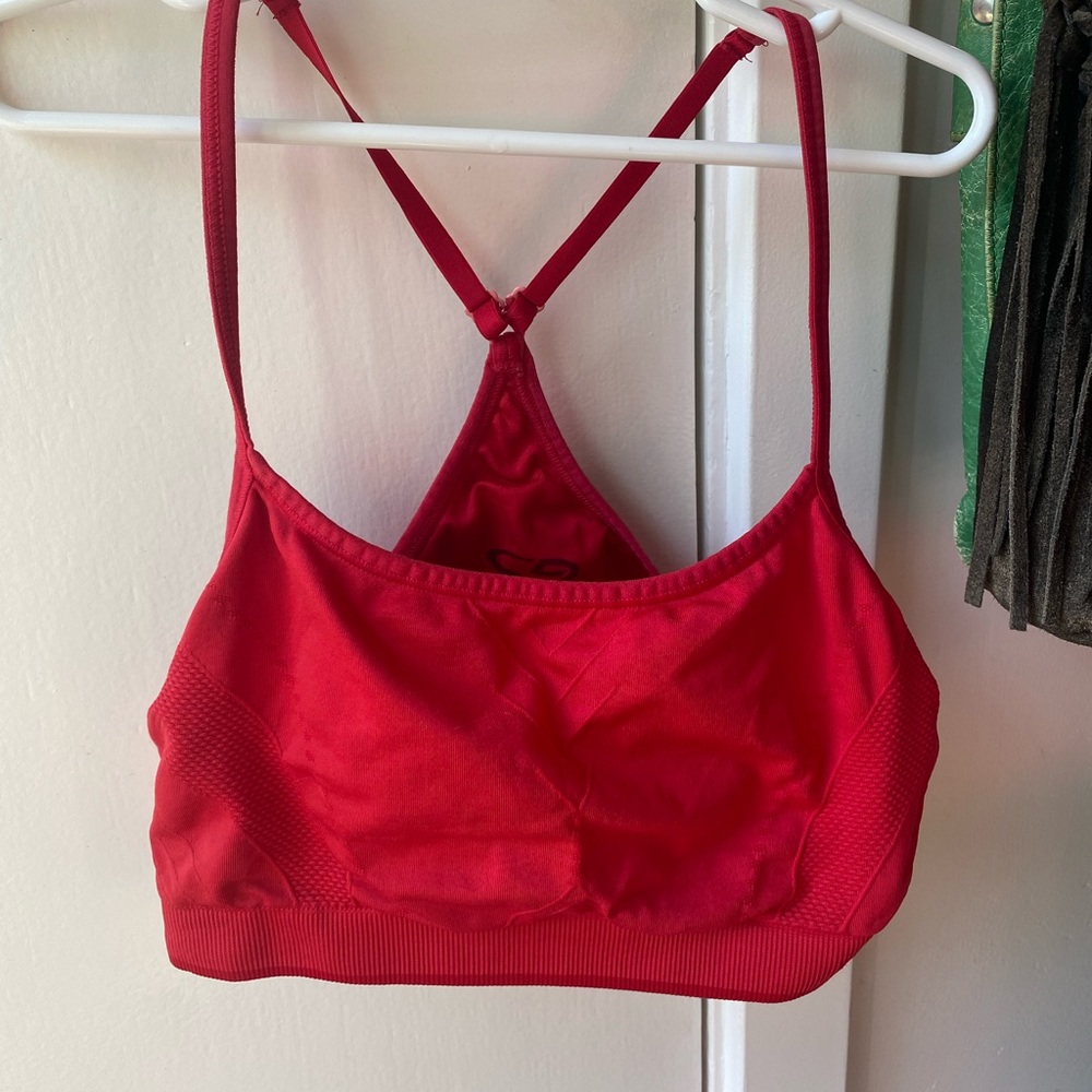 Champion Sports Bra